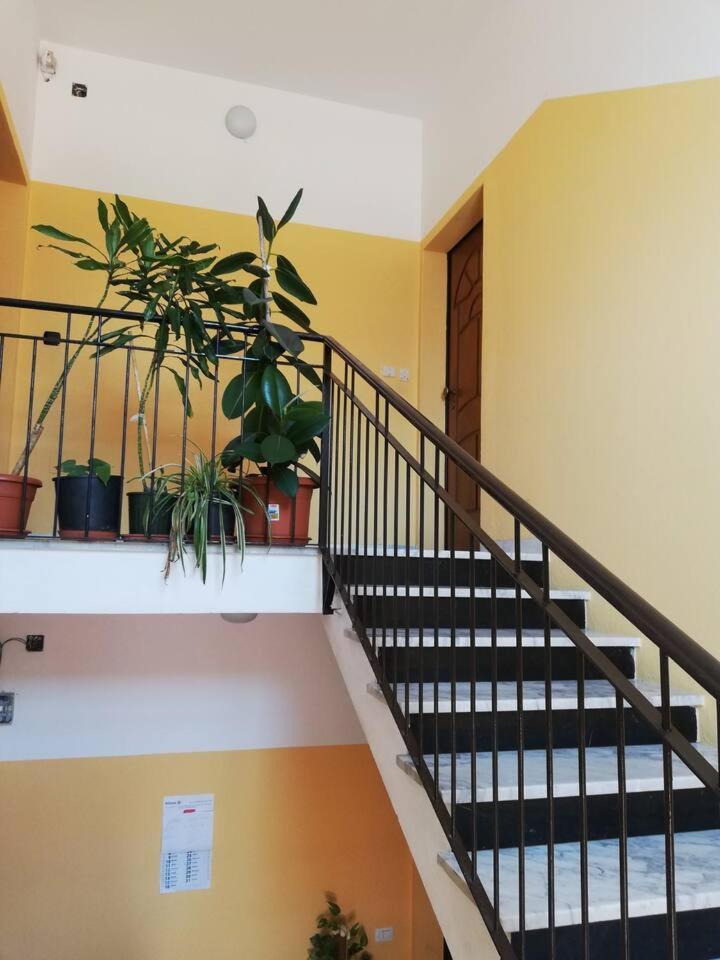 Casa Giulia Al Centro Di Olbia Codice Iun P4011 Apartment Екстериор снимка